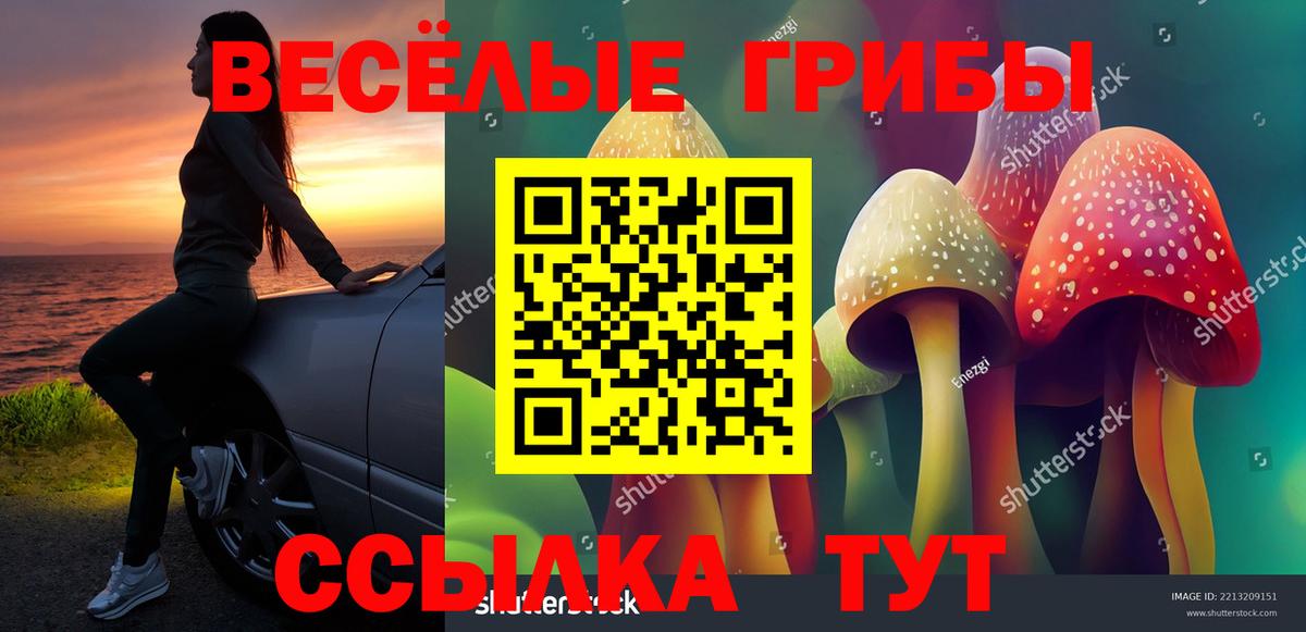 купить наркоту  Вход с VPN  Александров  Галлюциногенные грибы MAGIC MUSHROOMS 