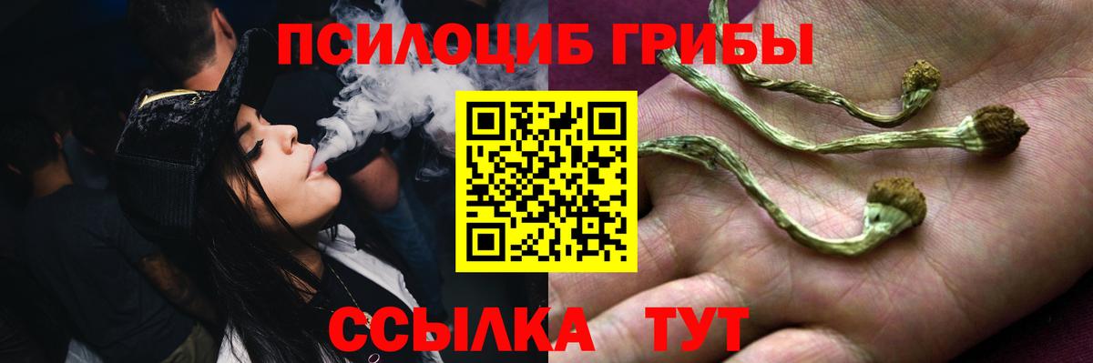 Галлюциногенные грибы Magic Shrooms  Александров 