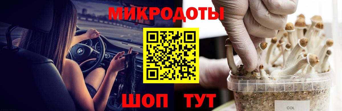 Галлюциногенные грибы мухоморы Александров