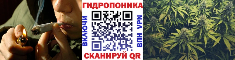 Бошки Шишки марихуана  Александров 